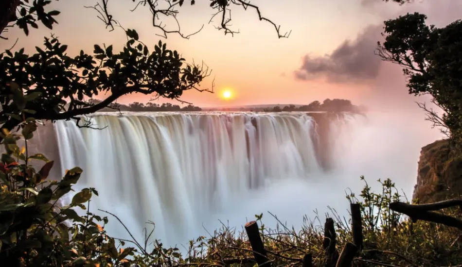 Group Tours